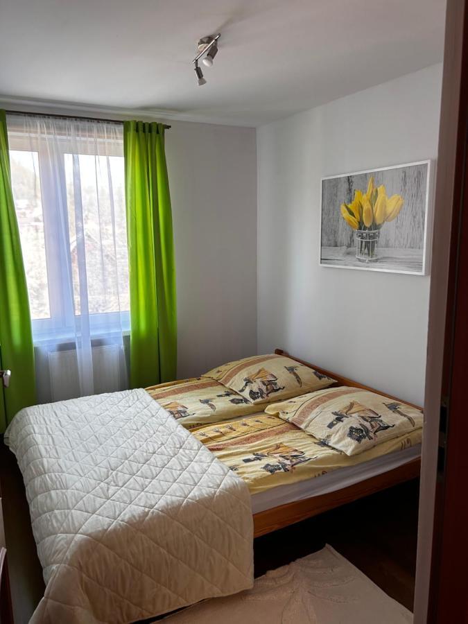 Nad Grajcarkiem Pieniny Apartment Szczawnica Exterior foto
